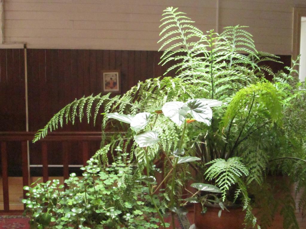 Hostal Patrimonial Angelmo Puerto Montt Eksteriør billede